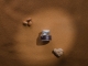 Gommage corps au sable du désert Ambre & Musc