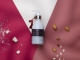 Lait d'Orient corps